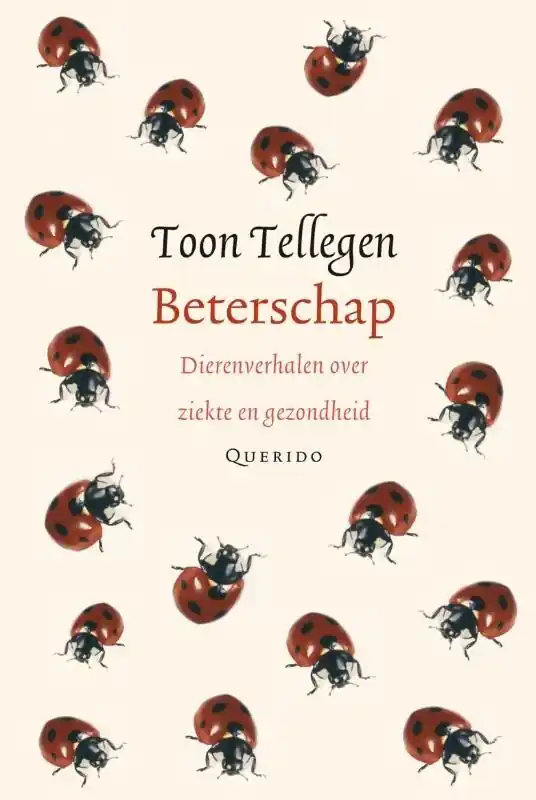 Populair Beterschap
