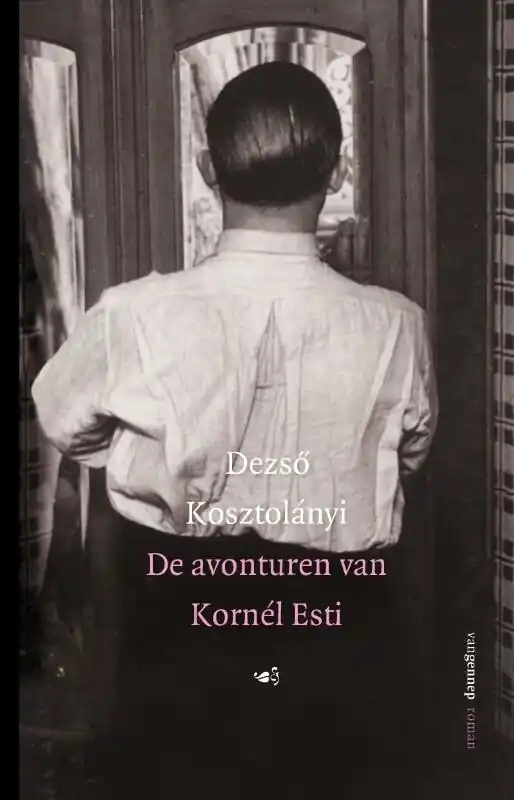 Rechtstreeks Van De Fabrikant De avonturen van Kornél Esti