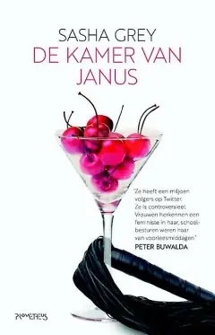 Rechtstreeks Van De Fabrikant De kamer van Janus
