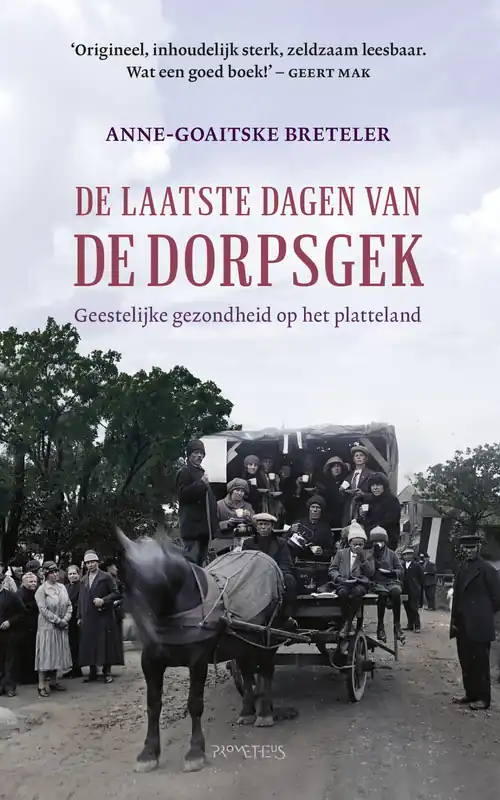 Gereduceerde Prijs De laatste dagen van de dorpsgek