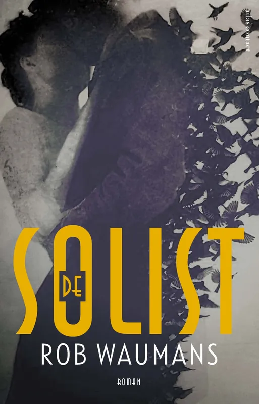 Dagaanbieding De solist