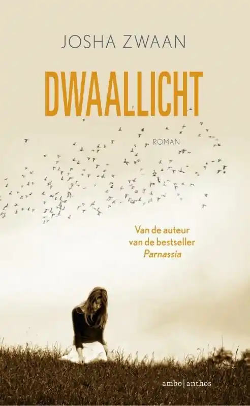 Dwaallicht Aanbieding