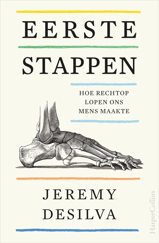 Hoge Kwaliteit Eerste stappen