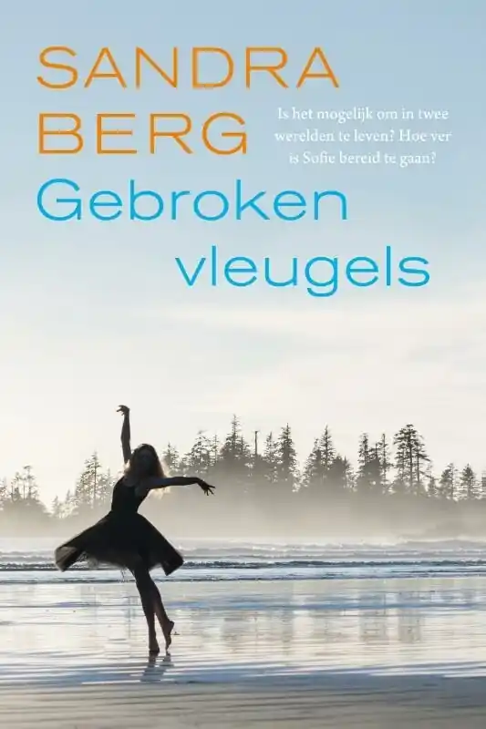 Koop Vandaag Gebroken vleugels