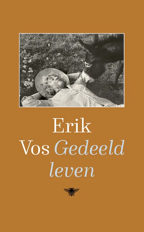 Direct Verzonden Gedeeld leven