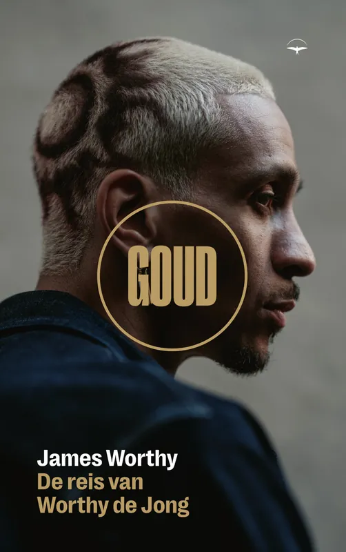 Goud Lage Prijs