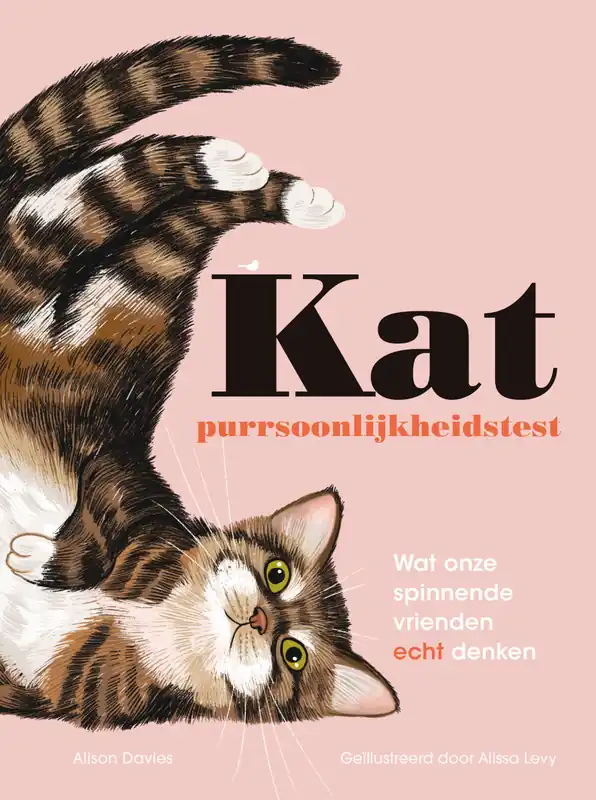 Snelle Levering Kat