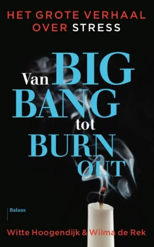 Lage Prijs Van big bang tot burn-out - Wilma de Rek; Witte Hoogendijk