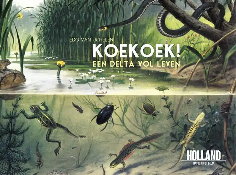 Koekoek! - Edo Van Uchelen Shop Nu