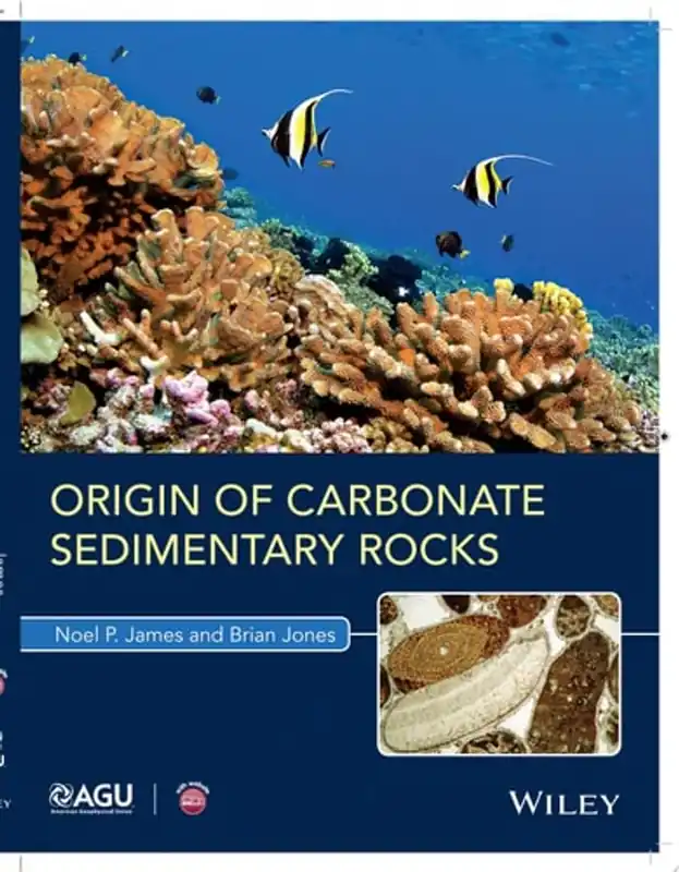 Origin of Carbonate Sedimentary Rocks - Noel P. James Beperkte Voorraad