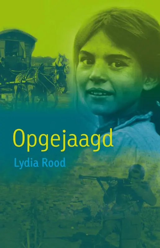 Koop Online Opgejaagd - Lydia Rood