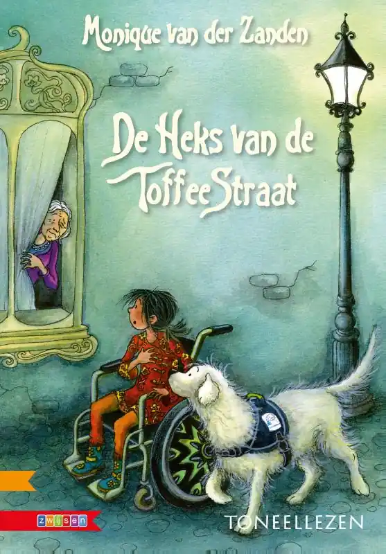 Koop Vandaag De Heks van de Toffeestraat