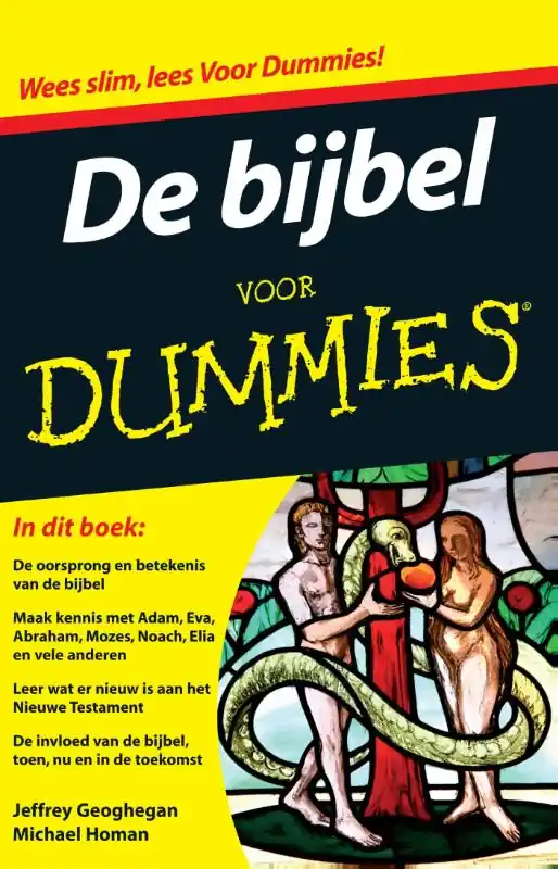 Veilige Betaling De bijbel voor dummies - Jeffrey Geoghegan; Michael Homan