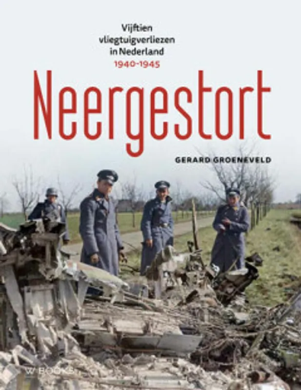 Neergestort - Gerard Groeneveld Lage Prijs