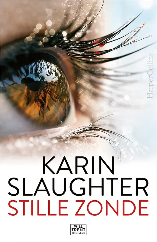 Seizoensaanbieding Stille zonde - Karin Slaughter