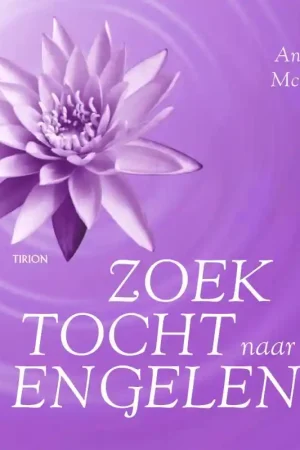 Zoektocht naar Engelen - Angela MacGerr Lage Prijs