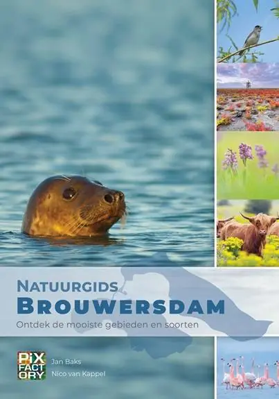 Gereduceerde Prijs Natuurgids Brouwersdam / Druk 1