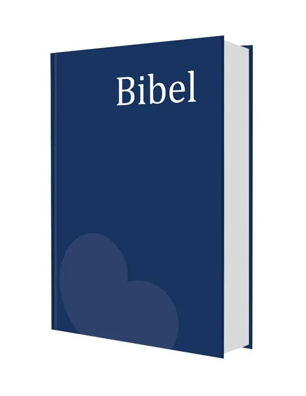 Hoge Kwaliteit Bibel - Friese huisbijbel