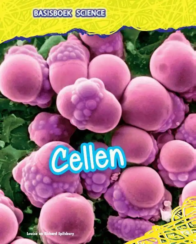 Merkproduct Cellen / Druk 1