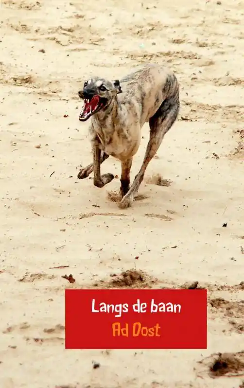 Langs de baan / Druk 5 Flitsaanbieding