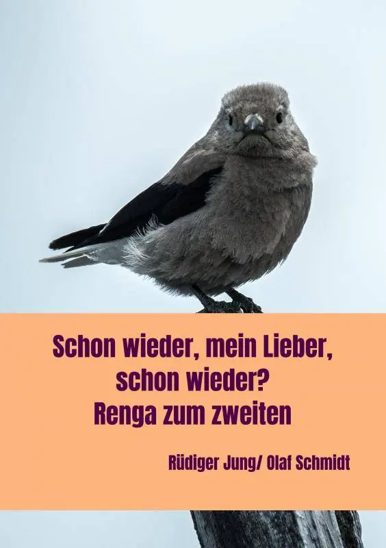 der zweite teil / 1 Edition Speciale Aanbieding