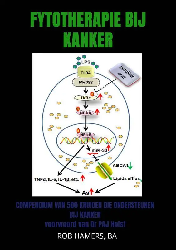 Fytotherapie bij Kanker / Druk 2 Betrouwbaar