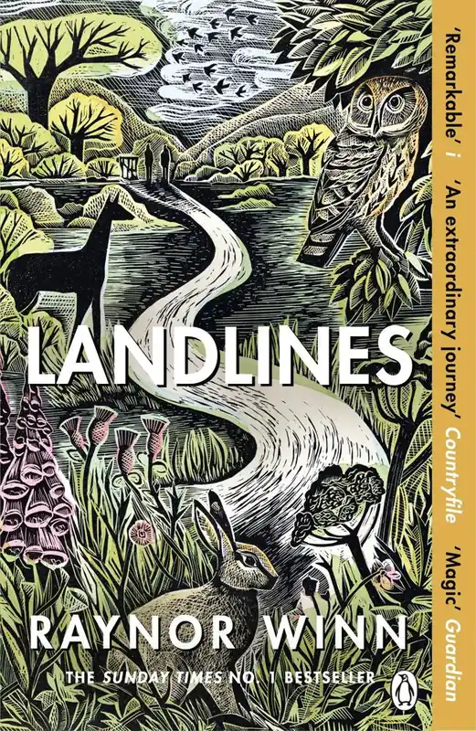 Betaalbaar Landlines