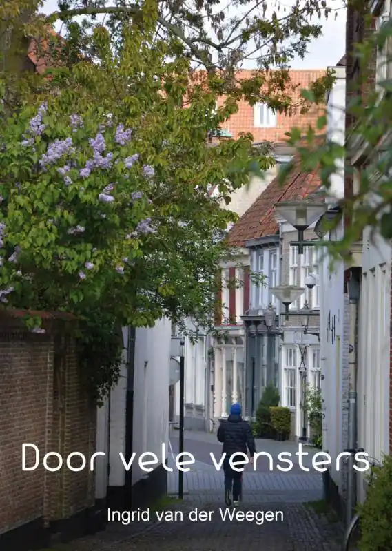 Door vele vensters 2 / Druk 1 Gratis Verzending