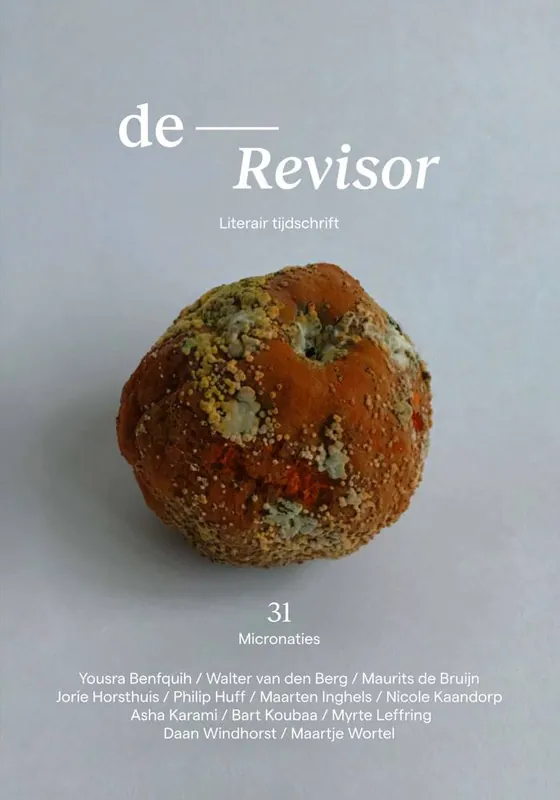 Superprijs Revisor 31 / Druk 1
