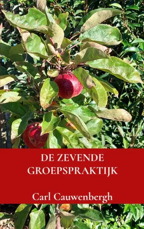 Actieprijs De zevende groepspraktijk / Druk 1