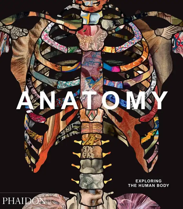 Anatomy Koopje
