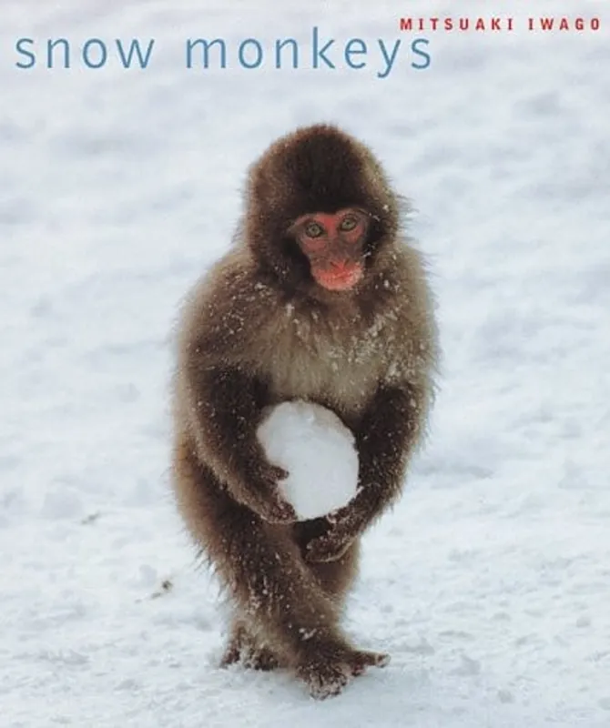 Snow Monkeys - Hideko Iwago Voordeelprijs