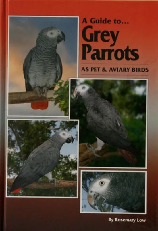 A Guide to Grey Parrots as Pet & Aviary Birds - Rosemary Low Betrouwbaar