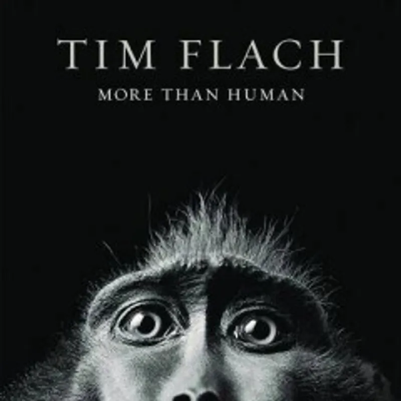 Favoriet More than human - Lewis Blackwell