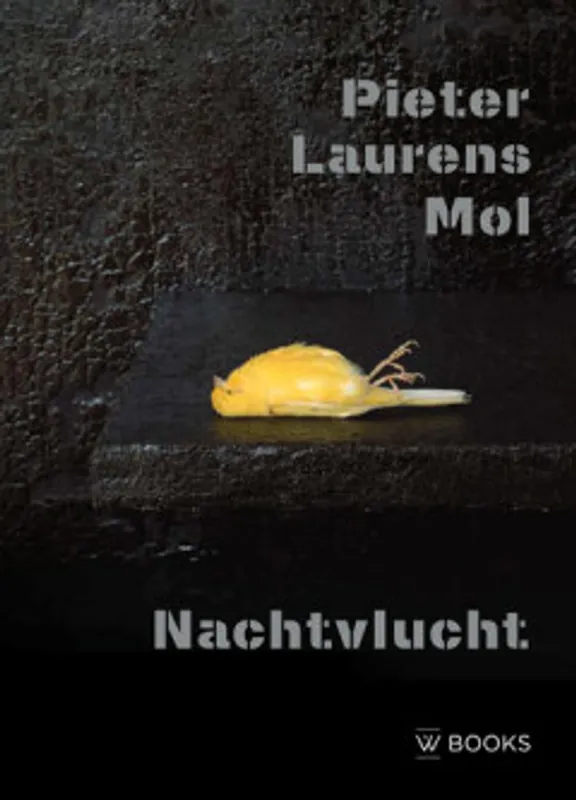 Pieter Laurens Mol - Dario Gamboni Lage Prijs
