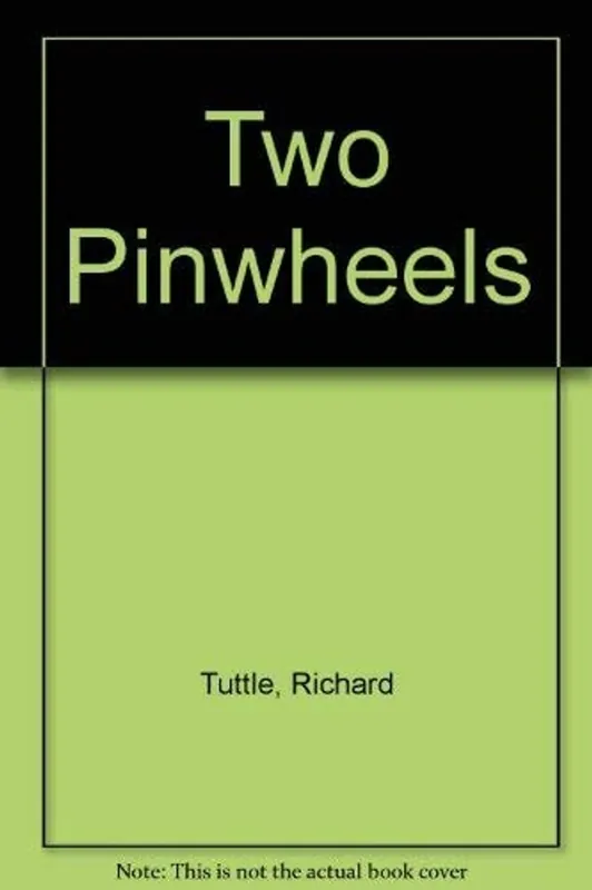 Two Pinwheels - Richard Tuttle Rechtstreeks Van De Fabrikant
