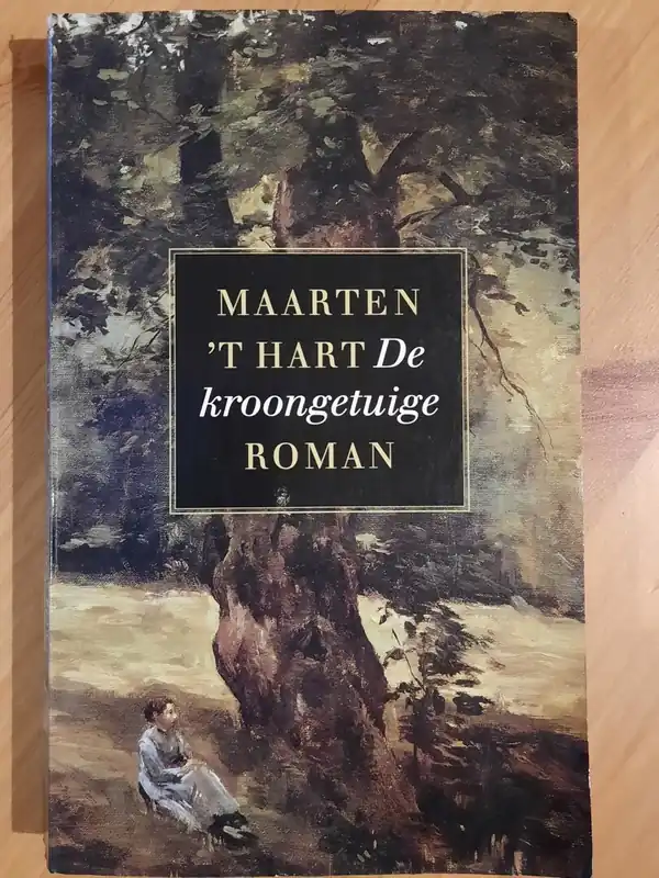 De kroongetuige - Maarten 't Hart Weekendaanbieding