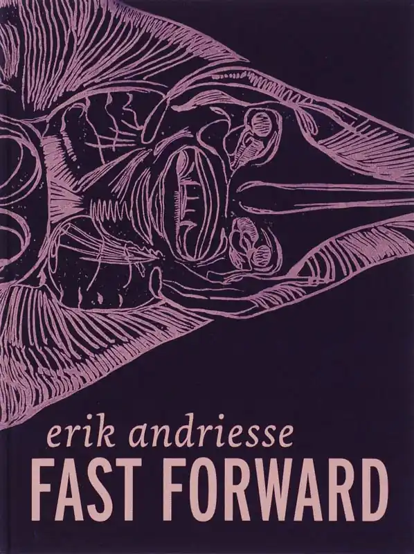 Fast Forward - E. Andriesse; R. Hodel; H. Aarsman Goedkoop