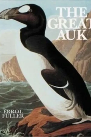 Beperkte Voorraad GREAT AUK - Errol Fuller