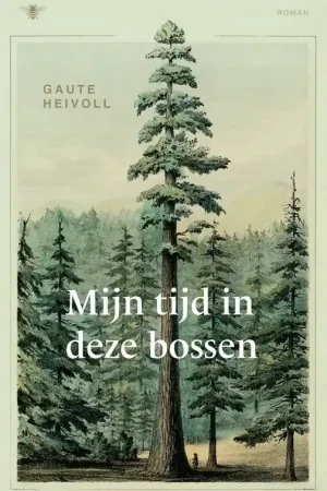 Lage Kosten Mijn tijd in deze bossen / Druk 1