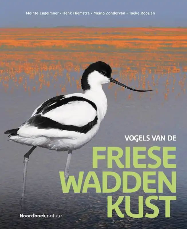 Vogels van de Friese Waddenkust / Druk 1 Lage Kosten