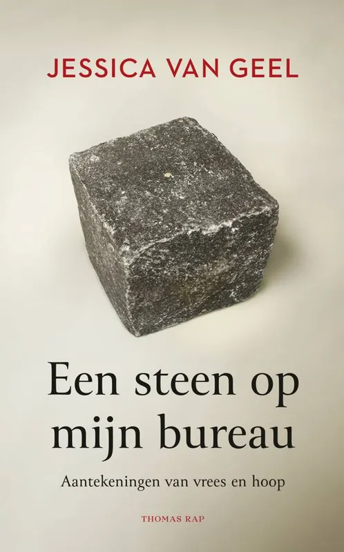 Flitsaanbieding Een steen op mijn bureau / Druk 4