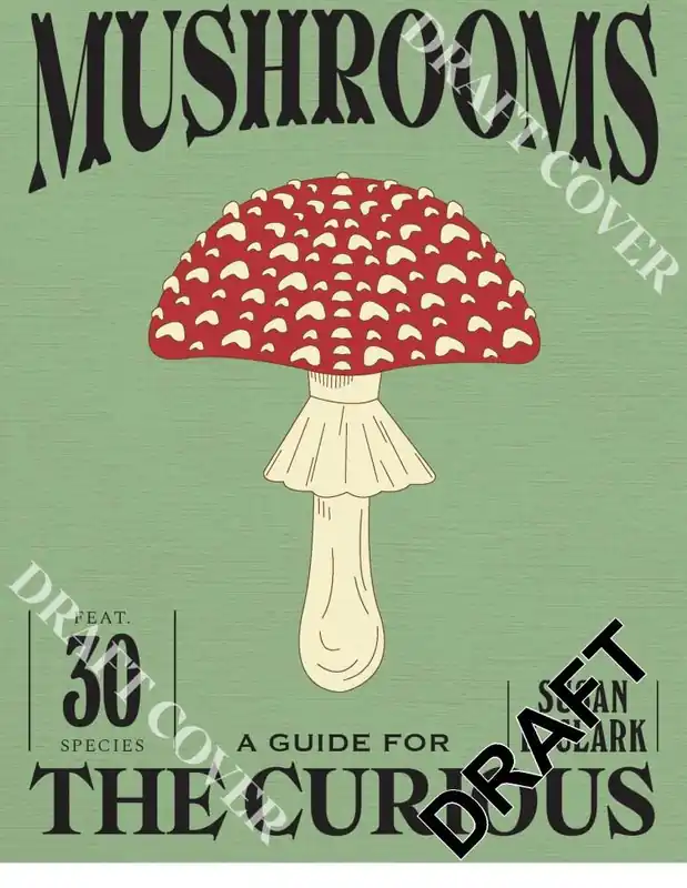 Betaalbaar Mushrooms