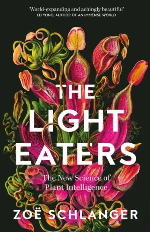 Gecertificeerd The Light Eaters