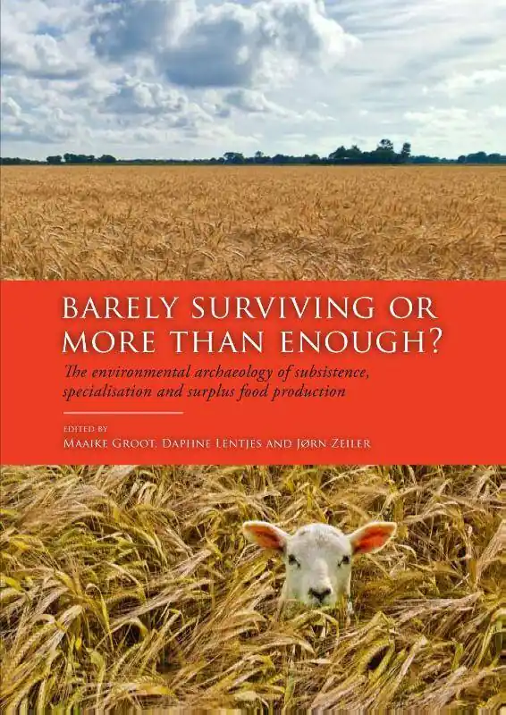 Barely surviving or more than enough? / 1st Edition Beperkte Voorraad