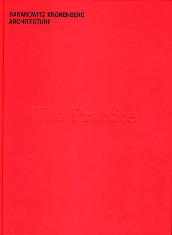 Snelle Levering The Practice / 1st Edition