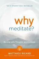 Why Meditate - Ricard Matthieu Beperkt Aanbod