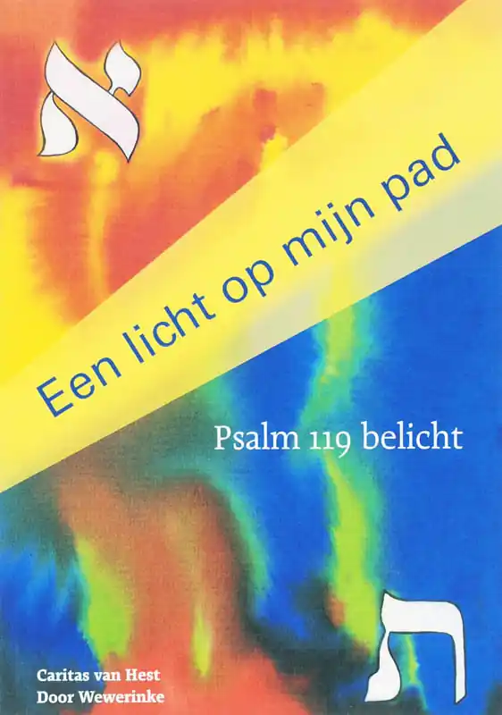 Gereduceerde Prijs Een licht op mijn pad - D. Wewerinke